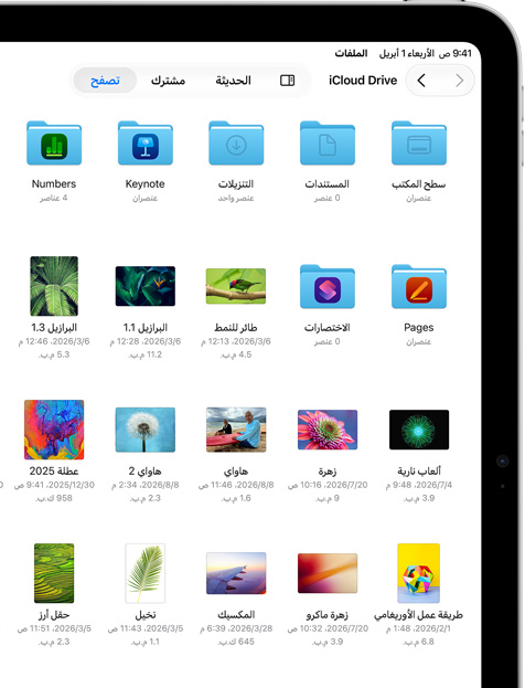 شاشة&nbsp;iPad تعرض ملفات ومجلدات في iCloud&nbsp;Drive‏