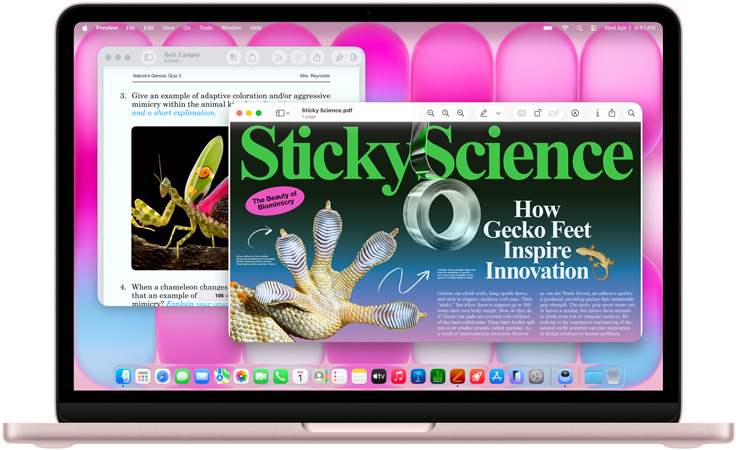 MacBook Neo, blush colour, screen shows an article on biomimicry and a quiz on similar subject matter